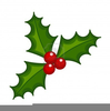 Holly Clipart Two Leaves Image