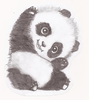 Panda Sketch Tumblr Image