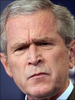 Bush Confused Face Image