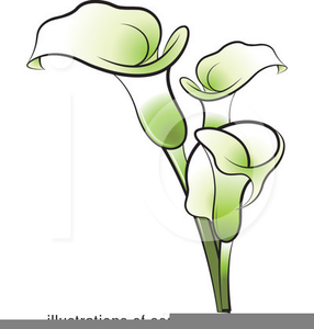 Free Peace Lily Clipart | Free Images at Clker.com - vector clip art  online, royalty free & public domain