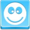 Free Blue Button Icons Ok Smile Image