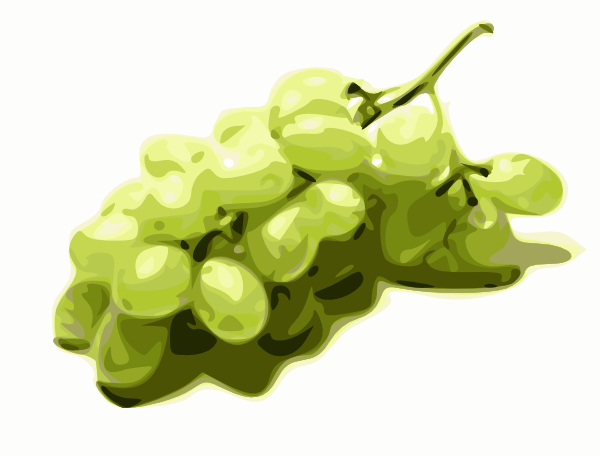 clipart green grapes - photo #46