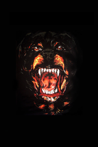 Givenchy Design Dog Image