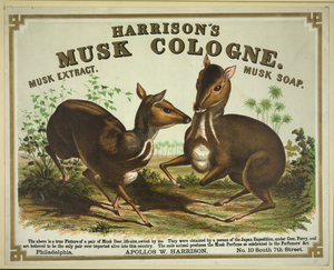 Harrison S Musk Cologne. Philadelphia [musk Deer] Image