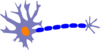 Healthy Neuron-blue Clip Art