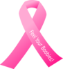 Terris Pink Ribbon Clip Art