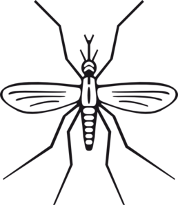 Mosquito Clip Art