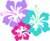 Hibiscus Clip Art