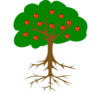 Apple Tree With Roots Clip Art