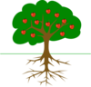 Apple Tree With Roots Clip Art