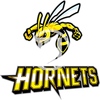 Hornet Mascot Clipart Image