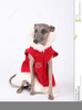 Free Whippet Clipart Image