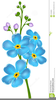 Forget Me Nots Clipart Image