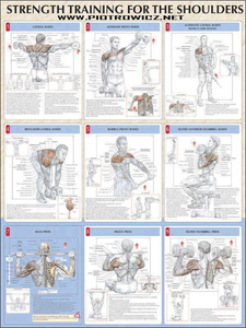 Isometric Exercise Chart