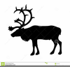 Free Flying Reindeer Clipart Image