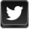 Twitter Bird Icon Image