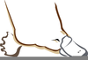 Duck Billed Platypus Clipart Image