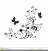 Free Flower Clipart Corners Image