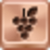 Grapes Icon Image