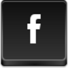 Facebook - Small Icon Image