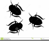 Bugs Black And White Clipart Image