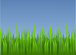 Grass Clipart