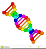 Clipart Of Genetic Engineering Image