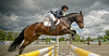 Horse Jumping Photography Image