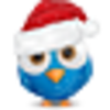 Christmas Bird 4 Image