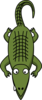 Alligator Image