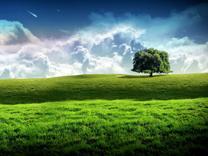 New Bliss Tree Green Landscape Scenery Wallpaper Image