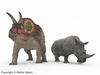 Rhino Vs Triceratops Image