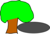 Tree And Shadow Clip Art