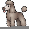 Brown Poodle Clipart Image