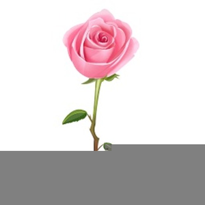 Clipart Long Stem Rose Image