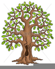Free Clipart Oak Tree Image