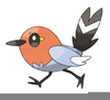 Bird Pokemon Xy Image