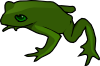 Frog 5 Clip Art