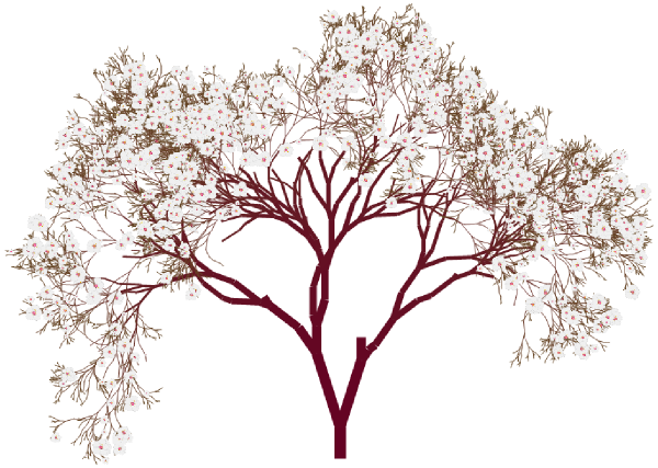 clipart cherry tree - photo #44