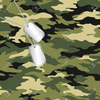 Clipart Of Camouflage Colors Image