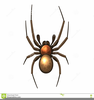 Spiders Clipart Free Image