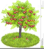 Apple Clipart Tree Image