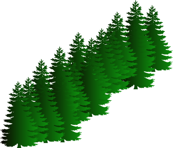 clipart spruce tree - photo #30