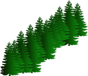 Evergreen Cluster Clip Art