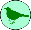 Emerald Circle Bird Clip Art