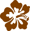 Brown Hibiscus Clip Art
