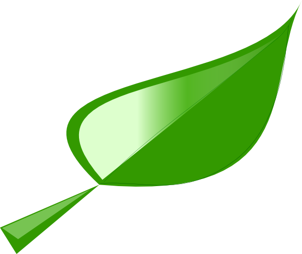 lettuce leaf clip art - photo #50