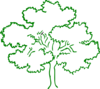 Oak Tree Green Outline Full Frame Clip Art