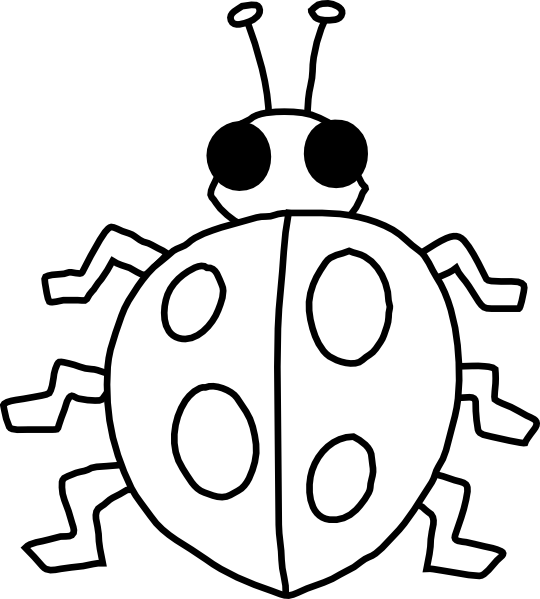 lady bug Vector PNG Image