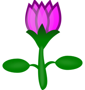 Lotus Clip Art
